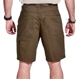 Rogue Shorts Back